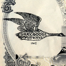 Gray Goose
